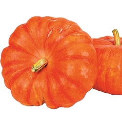 Cucurbita maxima 'Rouge Vif d'Étampes'