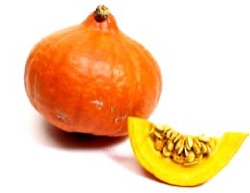 Cucurbita maxima 'Ushiki Kuri'