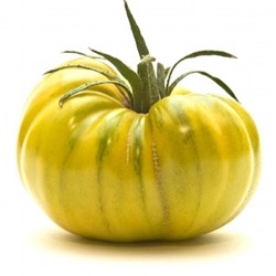 Lycopersicon lycopersicum 'Malakhitovaya Shkatulka' 